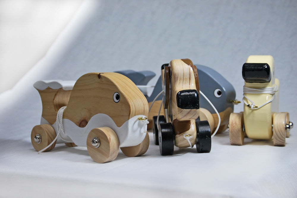 Pull Along Toy